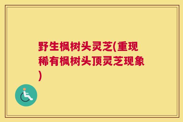 野生枫树头灵芝(重现稀有枫树头顶灵芝现象)