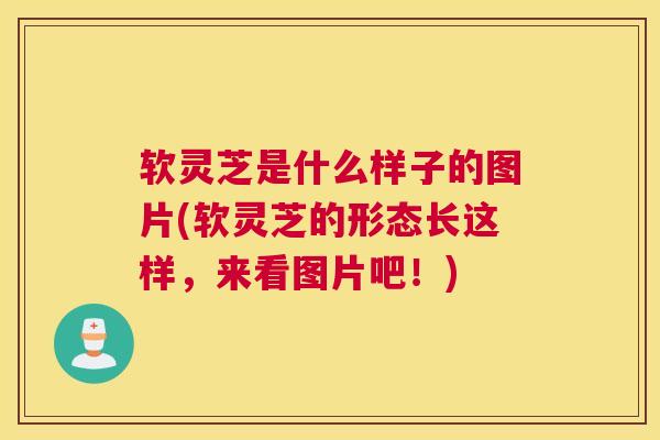 软灵芝是什么样子的图片(软灵芝的形态长这样，来看图片吧！)
