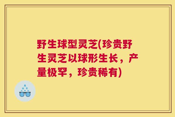 野生球型灵芝(珍贵野生灵芝以球形生长，产量极罕，珍贵稀有)