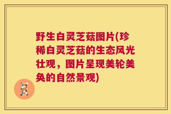 野生白灵芝菇图片(珍稀白灵芝菇的生态风光壮观，图片呈现美轮美奂的自然景观)