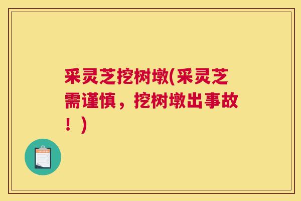 采灵芝挖树墩(采灵芝需谨慎，挖树墩出事故！)