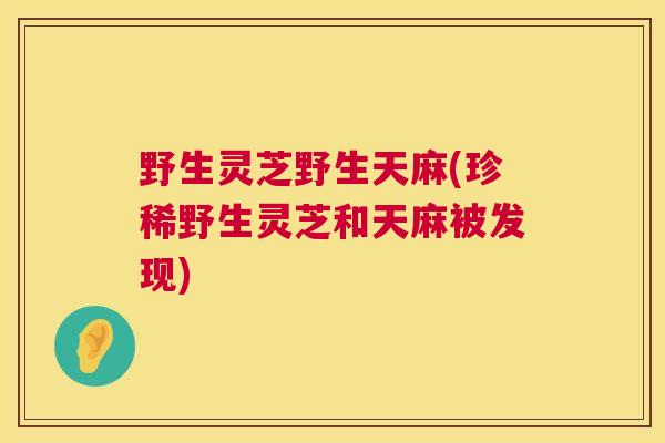 野生灵芝野生天麻(珍稀野生灵芝和天麻被发现)
