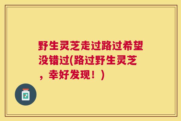 野生灵芝走过路过希望没错过(路过野生灵芝，幸好发现！)