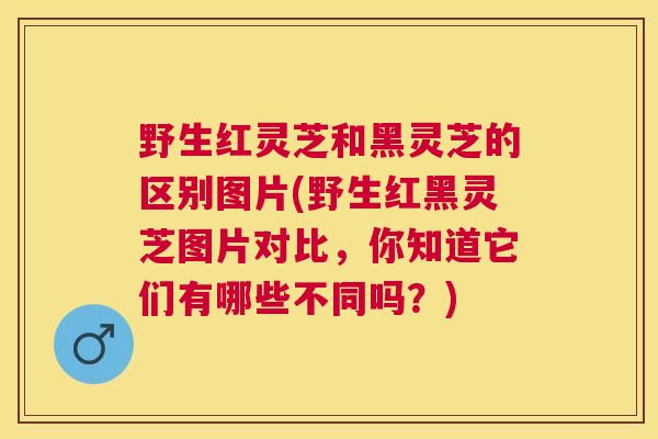 野生红灵芝和黑灵芝的区别图片(野生红黑灵芝图片对比，你知道它们有哪些不同吗？)