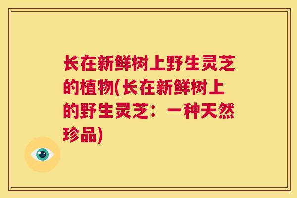 长在新鲜树上野生灵芝的植物(长在新鲜树上的野生灵芝:一种天然珍品) 长在新鲜树上野生灵芝的植物(长在新鲜树上的野生灵芝:一种天然珍品)