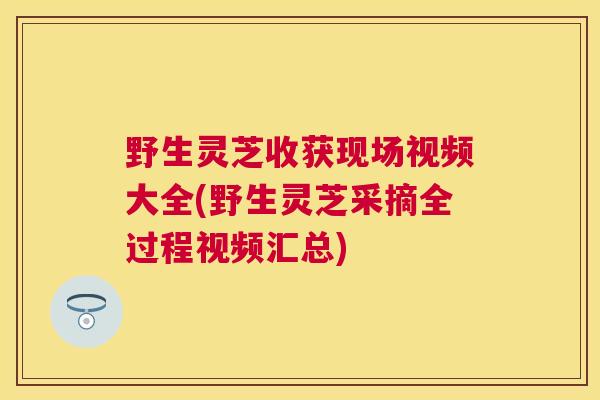 野生灵芝收获现场视频大全(野生灵芝采摘全过程视频汇总)