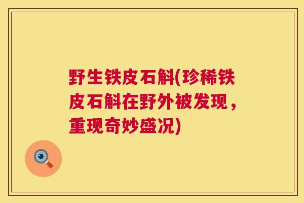 野生铁皮石斛(珍稀铁皮石斛在野外被发现，重现奇妙盛况)