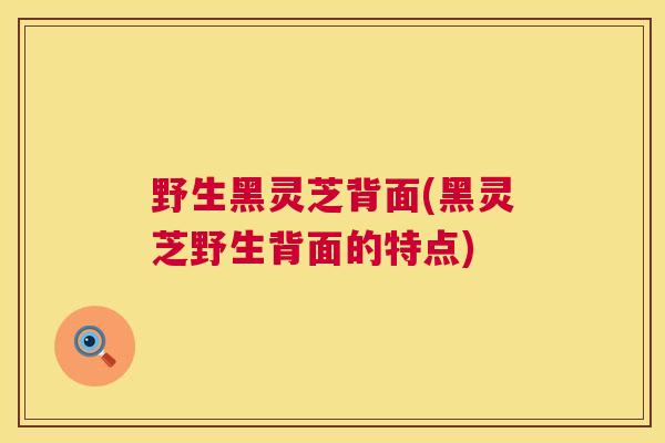 野生黑灵芝背面(黑灵芝野生背面的特点)