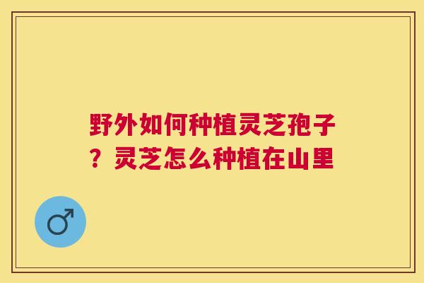 野外如何种植灵芝孢子？灵芝怎么种植在山里