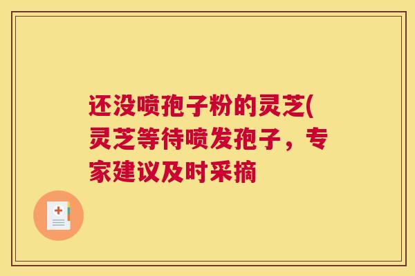 还没喷孢子粉的灵芝(灵芝等待喷发孢子，专家建议及时采摘
