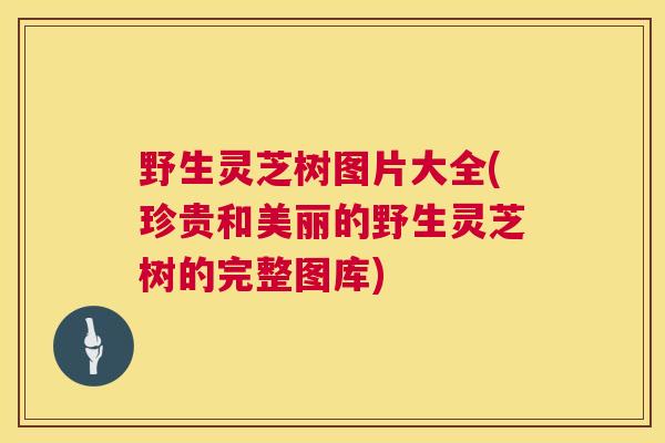 野生灵芝树图片大全(珍贵和美丽的野生灵芝树的完整图库) 野生灵芝树图片大全(珍贵和美丽的野生灵芝树的完整图库)