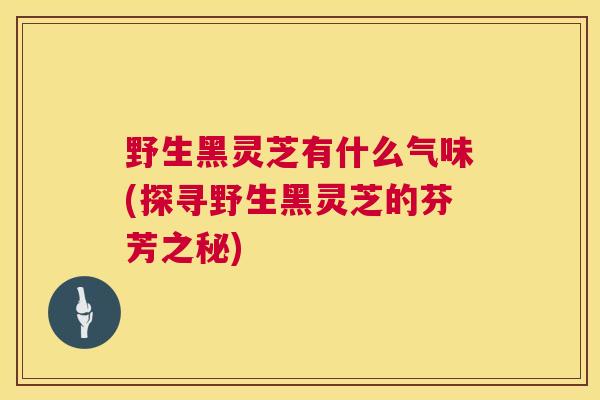 野生黑灵芝有什么气味(探寻野生黑灵芝的芬芳之秘)