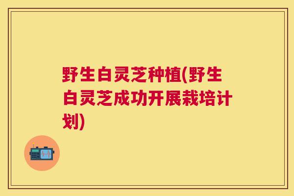 野生白灵芝种植(野生白灵芝成功开展栽培计划) 野生白灵芝种植(野生白灵芝成功开展栽培计划)