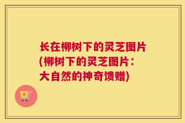 长在柳树下的灵芝图片(柳树下的灵芝图片：大自然的神奇馈赠)