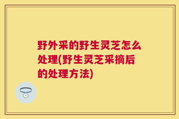 野外采的野生灵芝怎么处理(野生灵芝采摘后的处理方法)