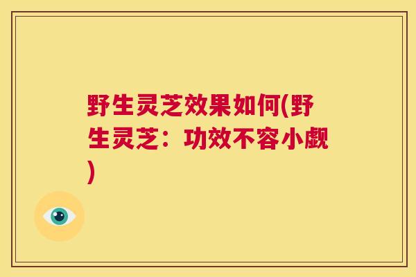野生灵芝效果如何(野生灵芝：功效不容小觑)