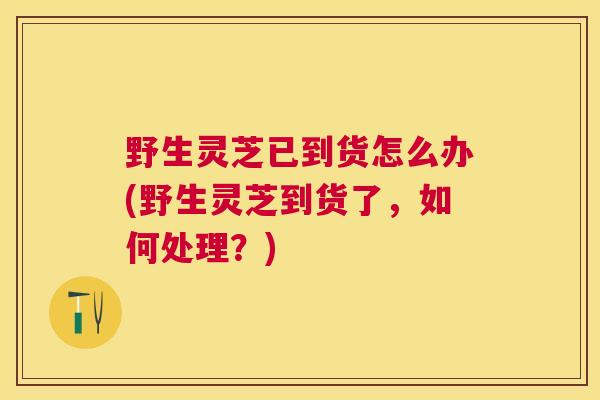 野生灵芝已到货怎么办(野生灵芝到货了，如何处理？)