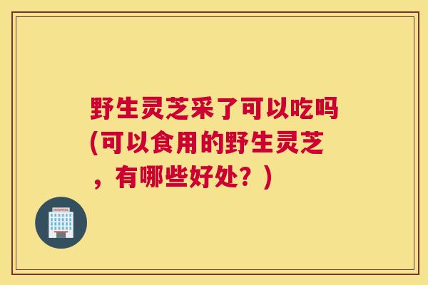 野生灵芝采了可以吃吗(可以食用的野生灵芝，有哪些好处？)