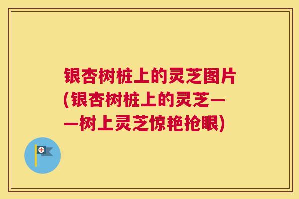 银杏树桩上的灵芝图片(银杏树桩上的灵芝——树上灵芝惊艳抢眼)