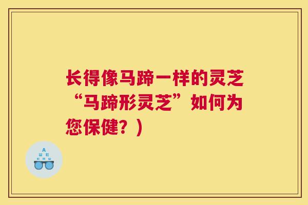 长得像马蹄一样的灵芝“马蹄形灵芝”如何为您保健?) 长得像马蹄一样的灵芝“马蹄形灵芝”如何为您保健?)