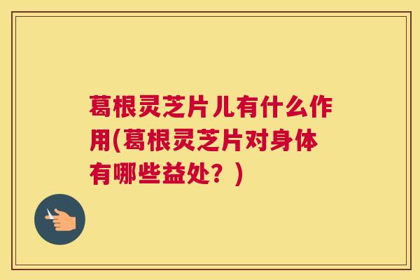葛根灵芝片儿有什么作用(葛根灵芝片对身体有哪些益处？)