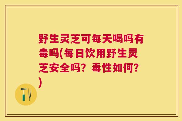 野生灵芝可每天喝吗有毒吗(每日饮用野生灵芝安全吗？毒性如何？)