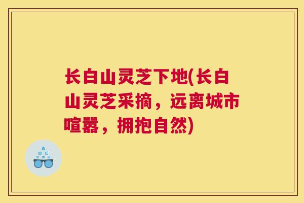 长白山灵芝下地(长白山灵芝采摘，远离城市喧嚣，拥抱自然)