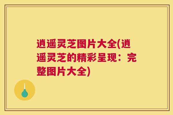 逍遥灵芝图片大全(逍遥灵芝的精彩呈现：完整图片大全)
