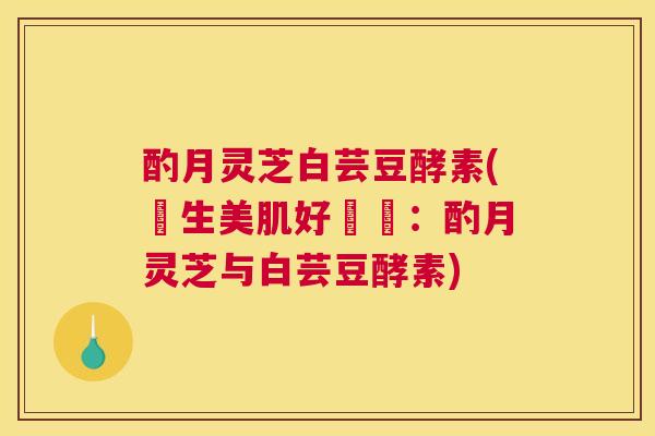 酌月灵芝白芸豆酵素(養生美肌好選擇：酌月灵芝与白芸豆酵素)