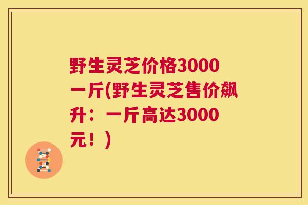 野生灵芝价格3000一斤(野生灵芝售价飙升：一斤高达3000元！)