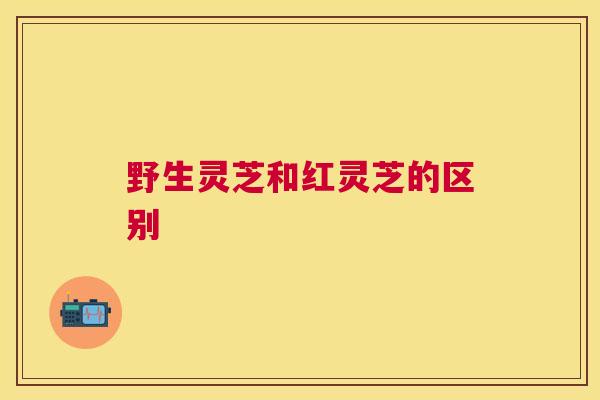 野生灵芝和红灵芝的区别 野生灵芝和红灵芝的区别