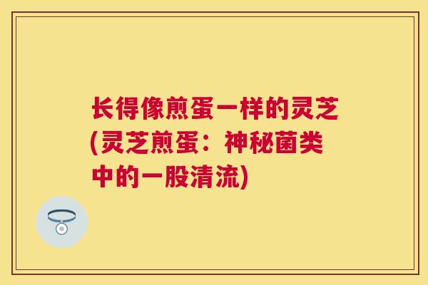 长得像煎蛋一样的灵芝(灵芝煎蛋:神秘菌类中的一股清流) 长得像煎蛋一样的灵芝(灵芝煎蛋:神秘菌类中的一股清流)