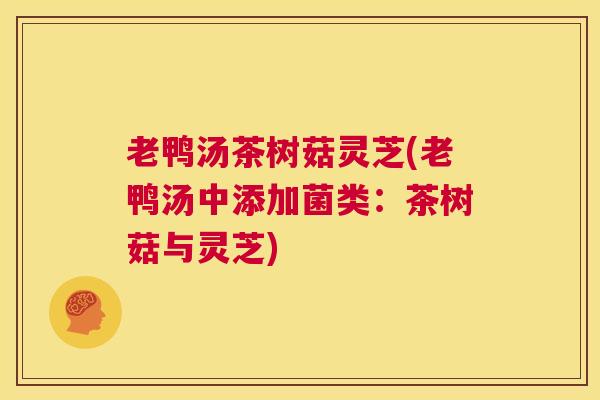 老鸭汤茶树菇灵芝(老鸭汤中添加菌类：茶树菇与灵芝)