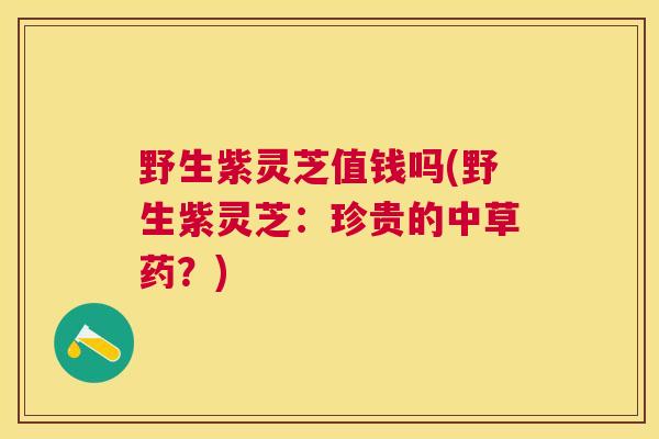 野生紫灵芝值钱吗(野生紫灵芝：珍贵的中草药？)