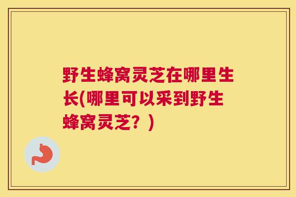 野生蜂窝灵芝在哪里生长(哪里可以采到野生蜂窝灵芝？)