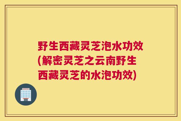 野生西藏灵芝泡水功效(解密灵芝之云南野生西藏灵芝的水泡功效)