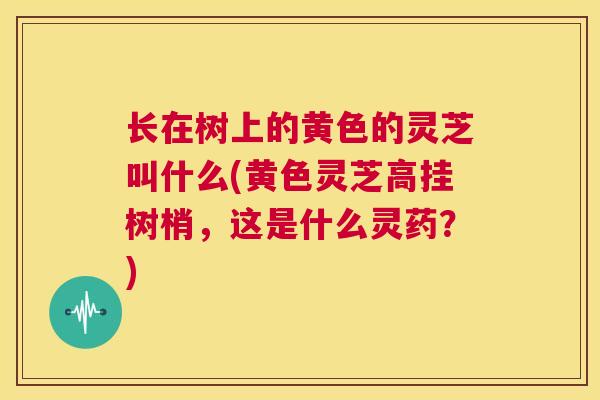 长在树上的黄色的灵芝叫什么(黄色灵芝高挂树梢,这是什么灵药?) 长在树上的黄色的灵芝叫什么(黄色灵芝高挂树梢,这是什么灵药?)