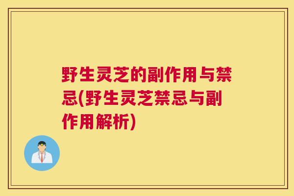 野生灵芝的副作用与禁忌(野生灵芝禁忌与副作用解析)
