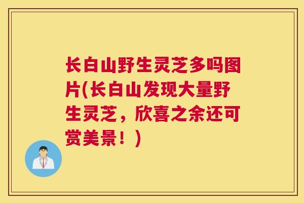 长白山野生灵芝多吗图片(长白山发现大量野生灵芝，欣喜之余还可赏美景！)