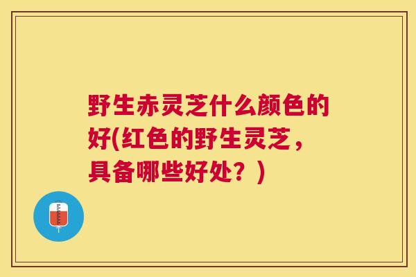 野生赤灵芝什么颜色的好(红色的野生灵芝，具备哪些好处？)