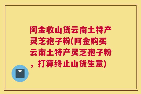 阿金收山货云南土特产灵芝孢子粉(阿金购买云南土特产灵芝孢子粉，打算终止山货生意)