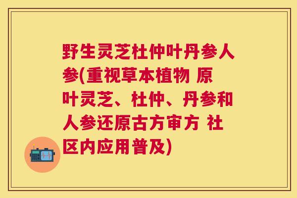 野生灵芝杜仲叶丹参人参(重视草本植物 原叶灵芝、杜仲、丹参和人参还原古方审方 社区内应用普及)