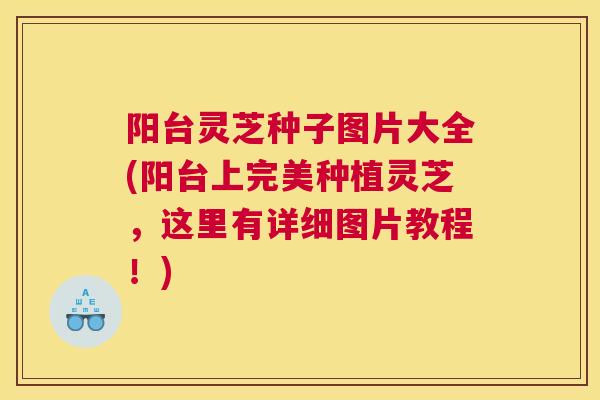 阳台灵芝种子图片大全(阳台上完美种植灵芝，这里有详细图片教程！)