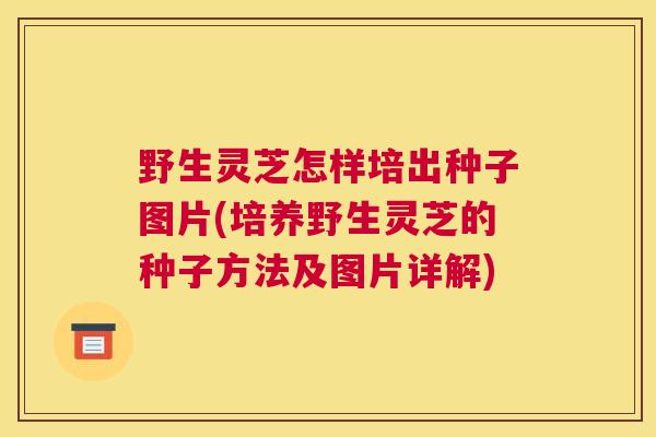 野生灵芝怎样培出种子图片(培养野生灵芝的种子方法及图片详解)