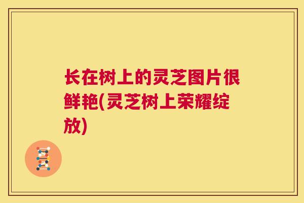 长在树上的灵芝图片很鲜艳(灵芝树上荣耀绽放)
