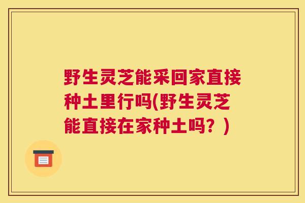 野生灵芝能采回家直接种土里行吗(野生灵芝能直接在家种土吗？)