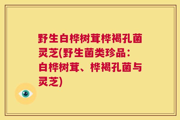 野生白桦树茸桦褐孔菌灵芝(野生菌类珍品：白桦树茸、桦褐孔菌与灵芝)