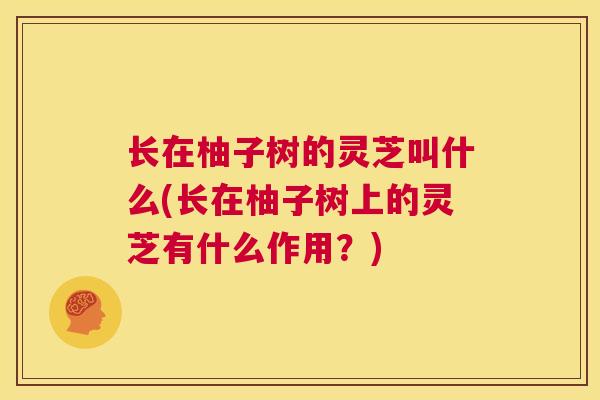长在柚子树的灵芝叫什么(长在柚子树上的灵芝有什么作用？)