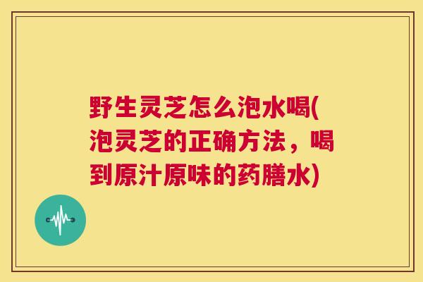 野生灵芝怎么泡水喝(泡灵芝的正确方法，喝到原汁原味的药膳水)