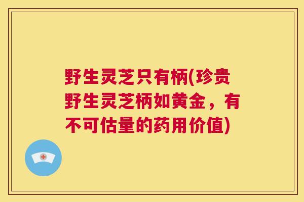 野生灵芝只有柄(珍贵野生灵芝柄如黄金，有不可估量的药用价值)